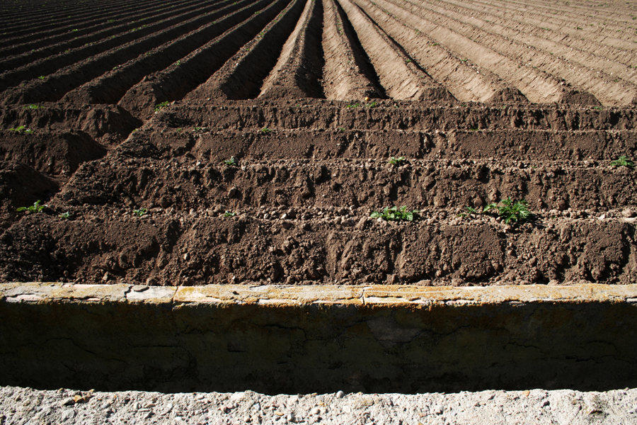 11.31 rs-plowed 969542 30866662